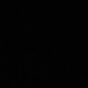 Meet your Posher, Evelyn